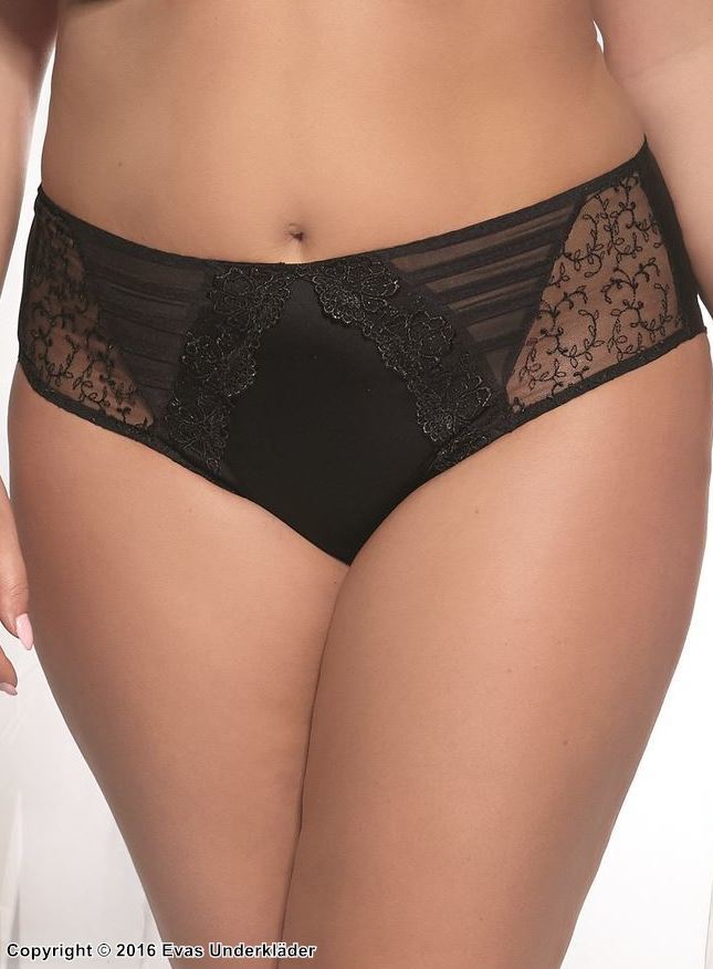 Classic briefs, embroidery, sheer inlays, slightly higher waist
